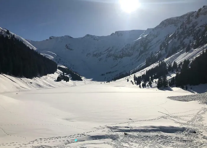 Ecrins Etoile C9 * Samoëns